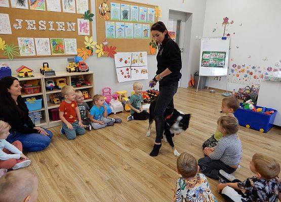 Grafika 44: Dogoterapia w grupach przedszkolnych.