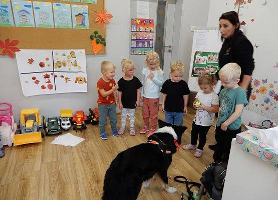 Grafika 45: Dogoterapia w grupach przedszkolnych.