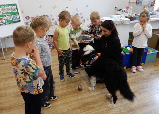 Grafika 50: Dogoterapia w grupach przedszkolnych.