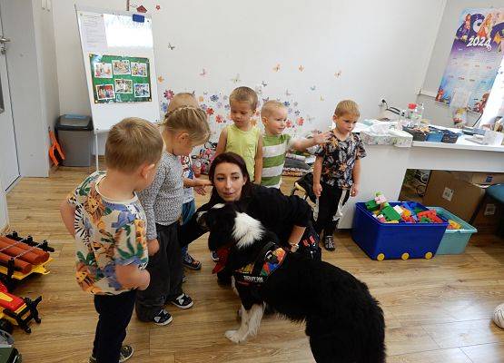 Grafika 51: Dogoterapia w grupach przedszkolnych.