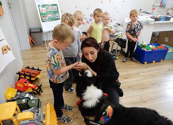 Grafika 52: Dogoterapia w grupach przedszkolnych.