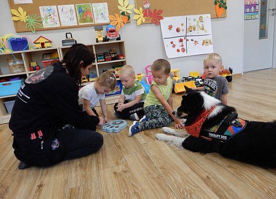Grafika 54: Dogoterapia w grupach przedszkolnych.