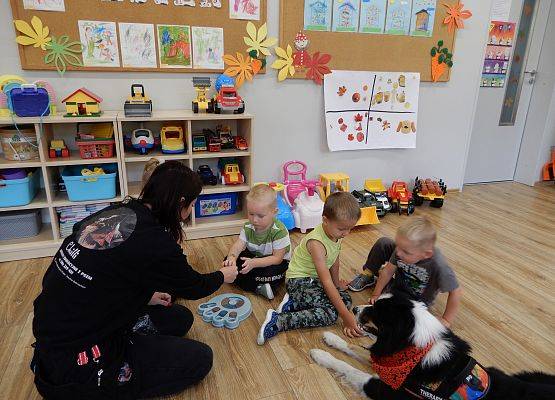 Grafika 55: Dogoterapia w grupach przedszkolnych.