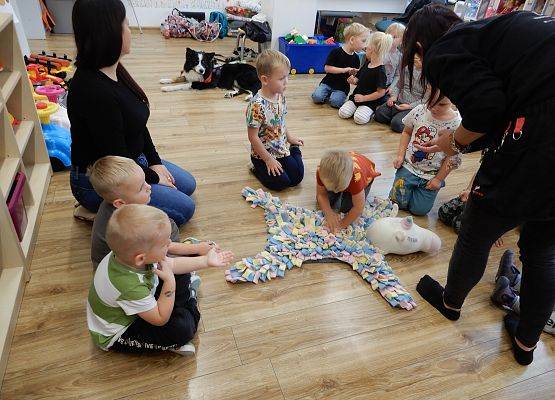 Grafika 56: Dogoterapia w grupach przedszkolnych.