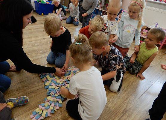 Grafika 57: Dogoterapia w grupach przedszkolnych.