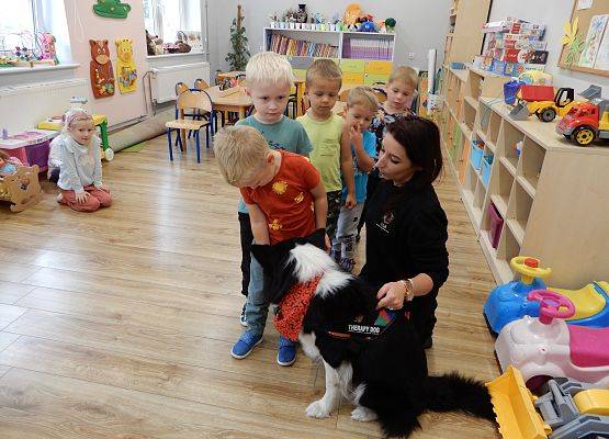 Grafika 59: Dogoterapia w grupach przedszkolnych.