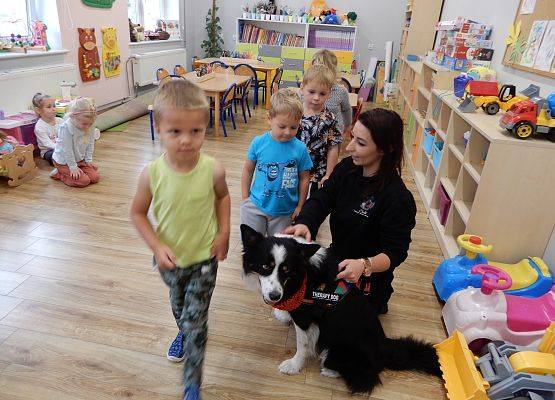 Grafika 60: Dogoterapia w grupach przedszkolnych.