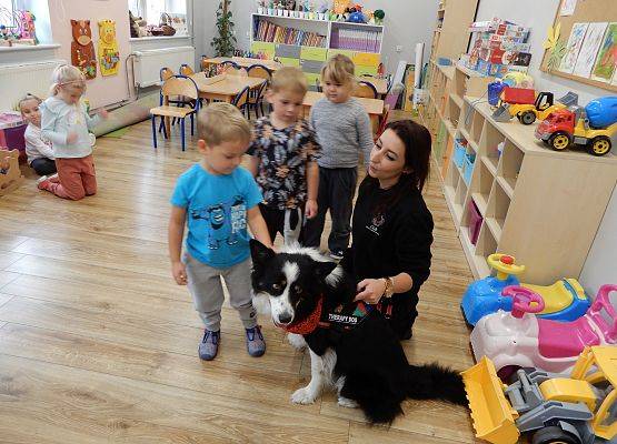 Grafika 61: Dogoterapia w grupach przedszkolnych.