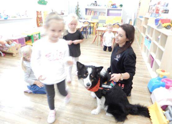 Grafika 63: Dogoterapia w grupach przedszkolnych.