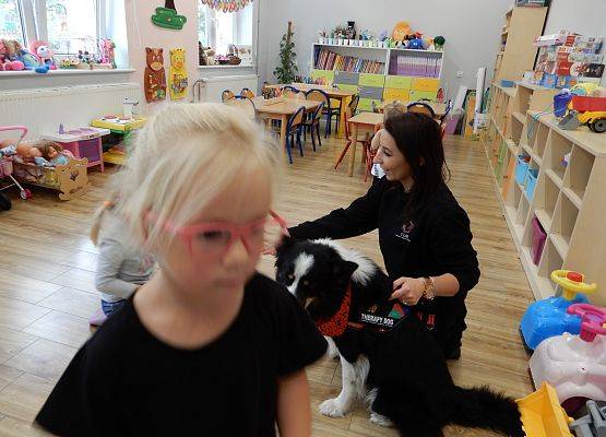 Grafika 64: Dogoterapia w grupach przedszkolnych.