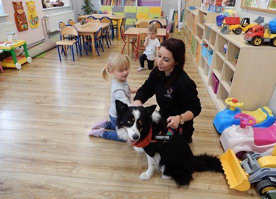 Grafika 65: Dogoterapia w grupach przedszkolnych.