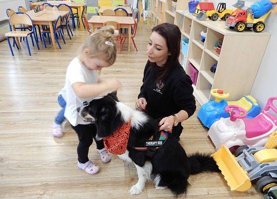 Grafika 66: Dogoterapia w grupach przedszkolnych.