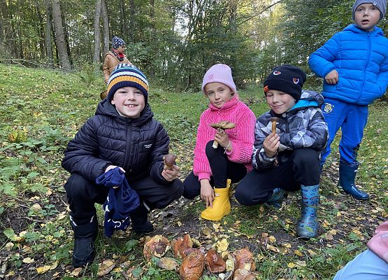 Grafika 3: Grzybobranie