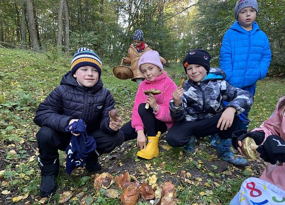 Grafika 4: Grzybobranie