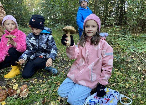 Grafika 5: Grzybobranie