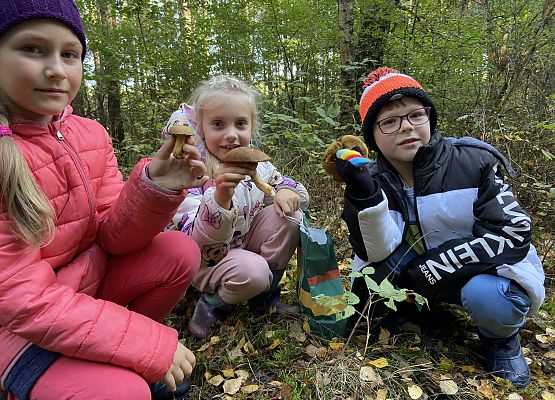 Grafika 8: Grzybobranie