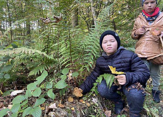 Grafika 9: Grzybobranie