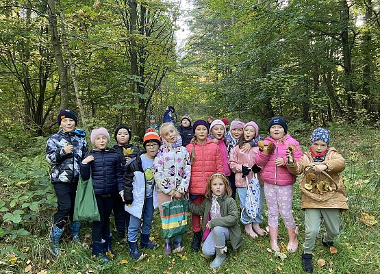 Grafika 10: Grzybobranie