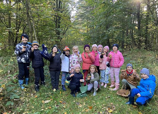 Grafika 11: Grzybobranie