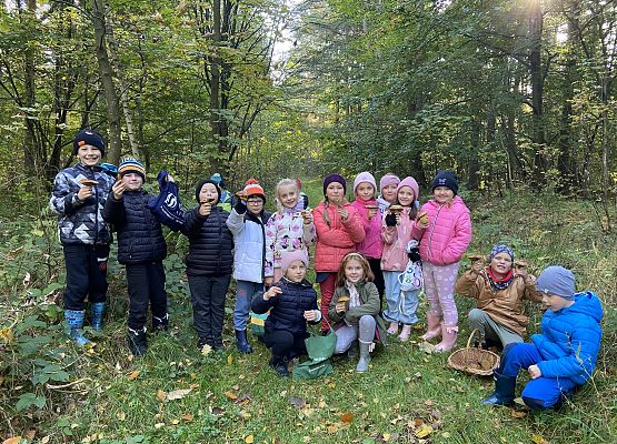 Grafika 12: Grzybobranie