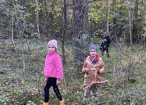 Grafika 15: Grzybobranie