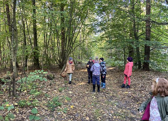 Grafika 17: Grzybobranie