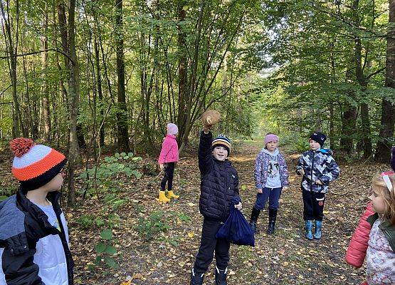 Grafika 18: Grzybobranie