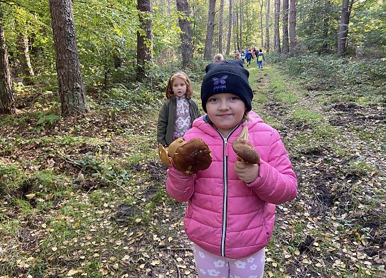 Grafika 20: Grzybobranie