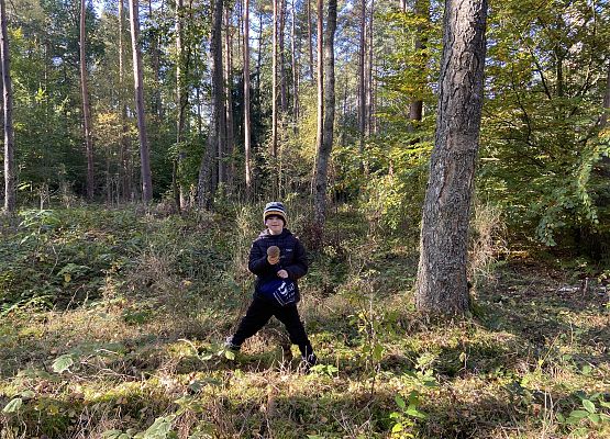 Grafika 21: Grzybobranie