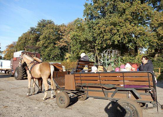 Grafika 4: Przedszkolaki w stadninie koni w Nowęcinie.