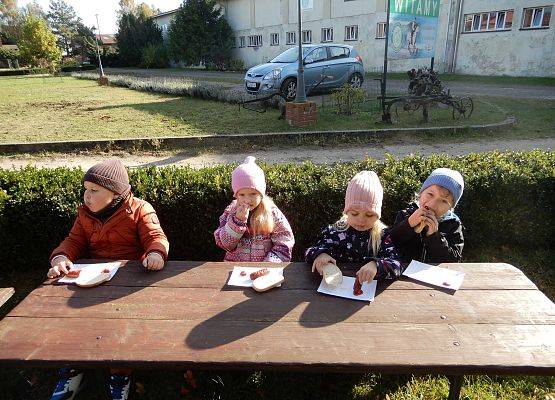 Grafika 9: Przedszkolaki w stadninie koni w Nowęcinie.