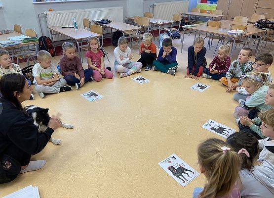 Grafika 2: Dogoterapia - zajęcia terapeutyczne z psem