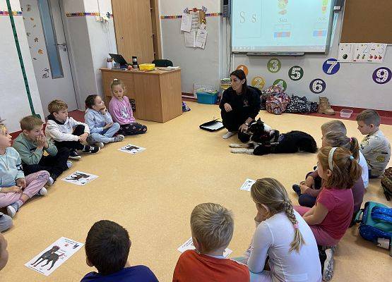 Grafika 1: Dogoterapia - zajęcia terapeutyczne z psem