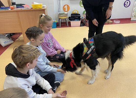 Grafika 4: Dogoterapia - zajęcia terapeutyczne z psem