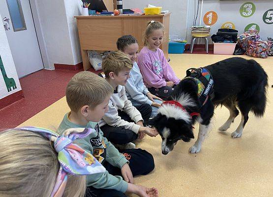 Grafika 5: Dogoterapia - zajęcia terapeutyczne z psem