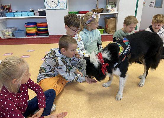 Grafika 6: Dogoterapia - zajęcia terapeutyczne z psem