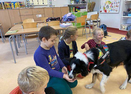 Grafika 7: Dogoterapia - zajęcia terapeutyczne z psem