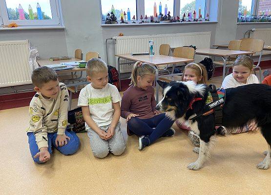 Grafika 8: Dogoterapia - zajęcia terapeutyczne z psem
