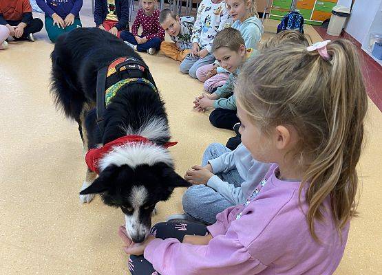 Grafika 9: Dogoterapia - zajęcia terapeutyczne z psem