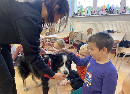 Grafika 10: Dogoterapia - zajęcia terapeutyczne z psem