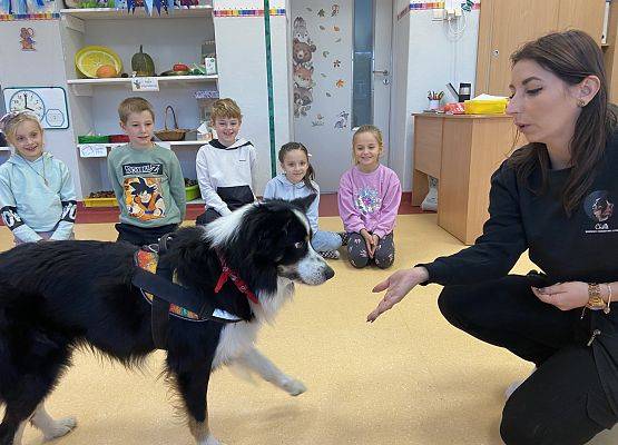 Grafika 11: Dogoterapia - zajęcia terapeutyczne z psem