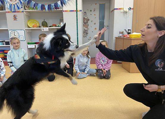 Grafika 12: Dogoterapia - zajęcia terapeutyczne z psem