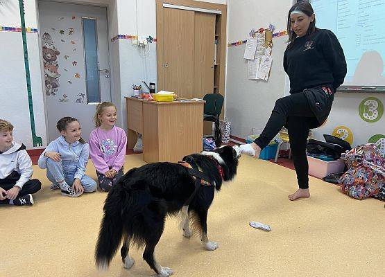 Grafika 13: Dogoterapia - zajęcia terapeutyczne z psem