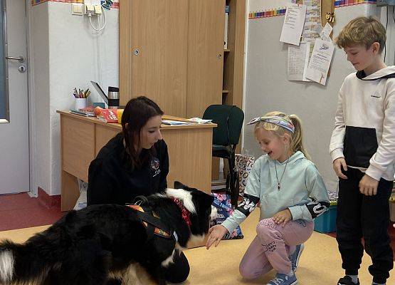 Grafika 15: Dogoterapia - zajęcia terapeutyczne z psem