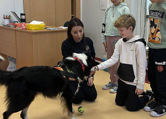 Grafika 16: Dogoterapia - zajęcia terapeutyczne z psem