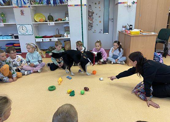 Grafika 23: Dogoterapia - zajęcia terapeutyczne z psem