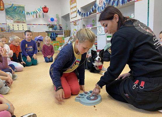 Grafika 24: Dogoterapia - zajęcia terapeutyczne z psem