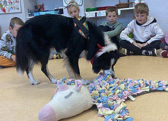 Grafika 27: Dogoterapia - zajęcia terapeutyczne z psem