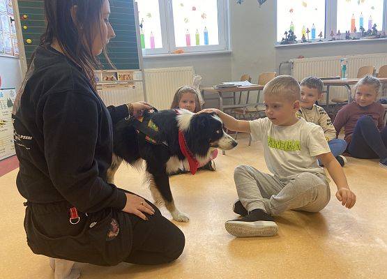 Grafika 28: Dogoterapia - zajęcia terapeutyczne z psem