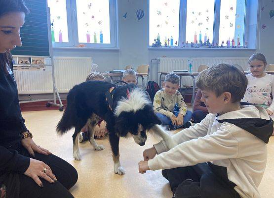 Grafika 29: Dogoterapia - zajęcia terapeutyczne z psem